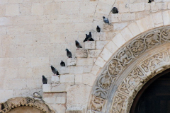 Katedra w Trani - portal. Foto: Piotr Bocian