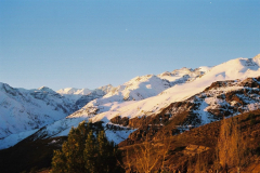 Chile 2001 -  Vicuña